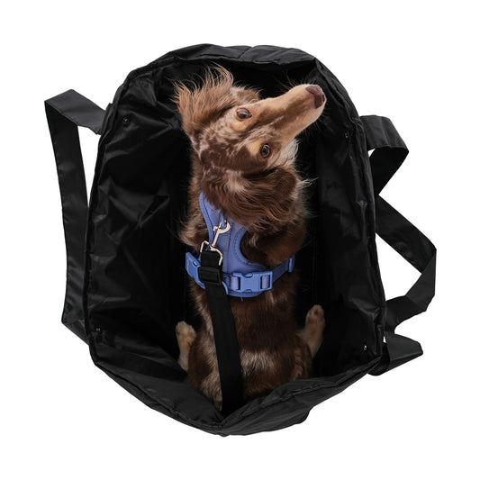 Hyotdog Cruiser Tote  - Black